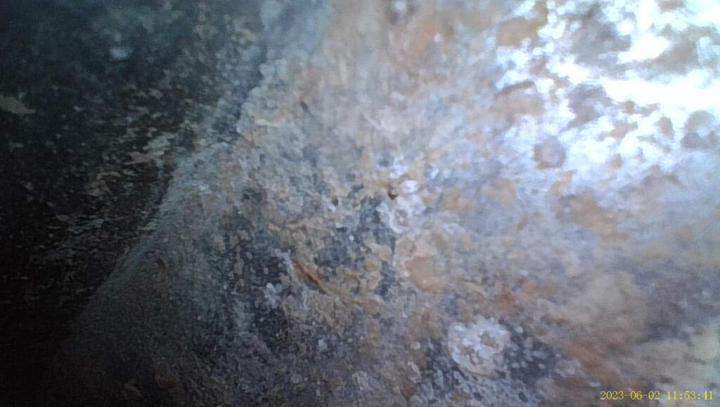 Wormald Homes Maryland Mold on Concrete